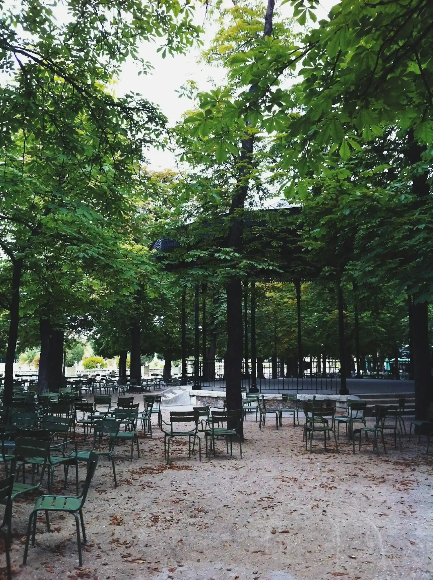 Chaises vertes dispersées sous de grands arbres dans le Parc du Luxembourg, avec une structure couverte en arrière-plan.